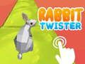 Spil Kanin Twister  online