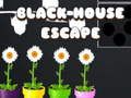Spil Black House Escape online