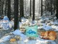 Spil Winter Wonderland Forest Adventure online