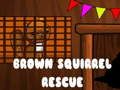 Spil Brun Squirrel Rescue online