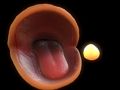 Spil Pac-Man online