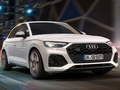 Spil Audi SQ5 TDI Slide online