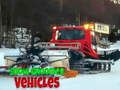 Spil Snow Groomer køretøjer  online