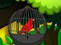 Spil Red burfuglen  online