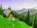 Spil Alpine Mountain stiksav  online