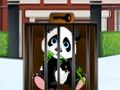 Spil Red Panda-ungen  online
