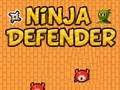 Spil Ninja forsvarer  online