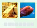 Spil Picword online