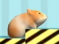 Spil Hamster For at bekræfte  online