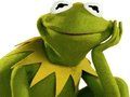 Spil Malebog til frøen Kermit  online