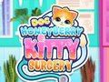 Spil Doc Honeyberry Kitty Surgery online