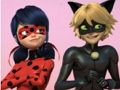 Spil Mirakuløst Mariehøne & Cat Noir puslespil  online