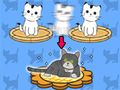 Spil Cat condo online