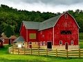 Spil Thanksgiving Rustik Farm Escape  online