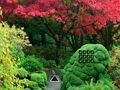 Spil Maple Leaf Garden Escape online