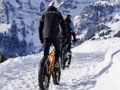 Spil Mountainbike stiksav  online