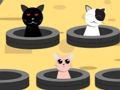 Spil Fang katte  online