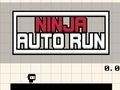Spil Ninja Auto Run online