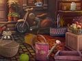 Spil Velsmagende Hideaway  online