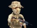 Spil Rush Team online
