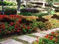 Spil Blad Farm Garden Escape online