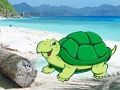 Spil Strandkrabbepar flugt  online