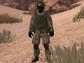 Spil Soldat of Homeland: Sahara  online