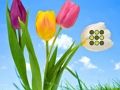 Spil Blomstergræsplæne flugt online