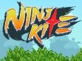 Spil Ninja drage  online