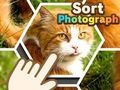 Spil Sorter fotografi  online
