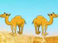 Spil Desert Gold Rush den store skatteudslip online