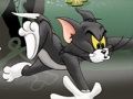 Spil Tom og Jerry Chase i Marsh  online
