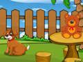 Spil Sjov Iguana Escape  online