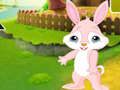 Spil Find Buddy Rabbit online
