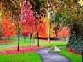 Spil Butterfly Family Escape online