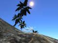 Spil Raft Evolution online