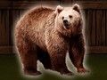 Spil Red Grizzlybjørnen  online
