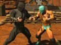 Spil Fighter Legends Duo online