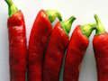 Spil Hot Pepper stiksav  online