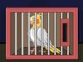 Spil Slip The Cockatiel Bird  online