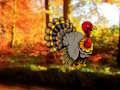 Spil Thanksgiving Dancing Tyrkiet Escape  online