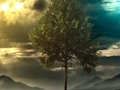 Spil Illusion Jungle Fairy Escape online