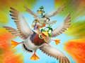 Spil Migration Flappy Duck online