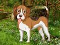 Spil Flower Garden Dog Escape online