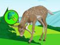 Spil Deer Meadow Escape  online