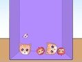 Spil Evolution af Cat Memes  online