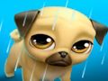 Spil Mit virtuelle kæledyr Louie the Pug  online