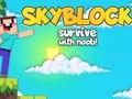 Spil Skyblock Overlev med Noob!  online