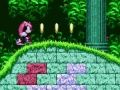 Spil Mighty & Ray i Sonic 2  online