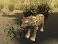 Spil Afrikansk Gepard Jagt Simulator  online